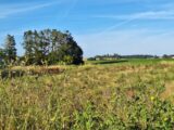 Terrain à bâtir à Mornac-sur-Seudre (17113) 2048149-3362annonce1202501139t84F.jpeg Maisons France Confort