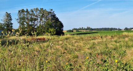 Mornac-sur-Seudre Terrain à bâtir - 2048149-3362annonce1202501139t84F.jpeg Maisons France Confort