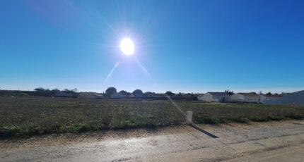 Semussac Terrain à bâtir - 2050018-3362annonce120250114DLtcV.jpeg Maisons France Confort
