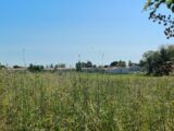 Terrain à bâtir à Trois-Palis (16730) 2057284-11045annonce120250121QMLg8.jpeg Maisons France Confort