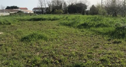 Chambon Terrain à bâtir - 2124889-10442annonce120250404WLxCg.jpeg Maisons France Confort