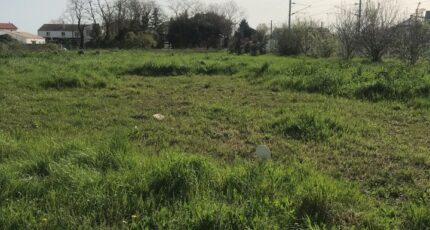 Chambon Terrain à bâtir - 2124889-10442annonce220250404T4IOI.jpeg Maisons France Confort