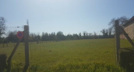 Tourny Terrain à bâtir - 2124805-9835annonce120250404J677X.jpeg Maisons France Confort