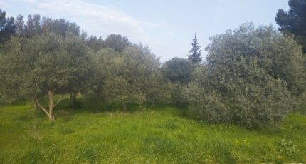 Saint-Chamas Maison neuve - 2125836-11191annonce420250405oOHLx.jpeg Maisons France Confort