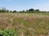 Terrain à bâtir à Ardillières (17290) 2125895-11070annonce220250405w4zur.jpeg Maisons France Confort