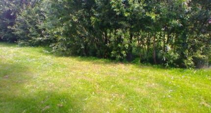 Vayres-sur-Essonne Terrain à bâtir - 2123036-10729annonce1202504020JZye.jpeg Maisons France Confort