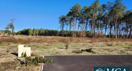 Pissos Terrain à bâtir - 2101245-5828annonce120250310mZPLR.jpeg Maisons France Confort