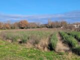 Terrain à bâtir à Puygiron (26160) 2097730-812annonce120241112Lp8HV.jpeg Maisons France Confort