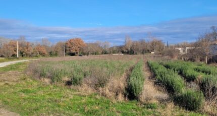 Puygiron Terrain à bâtir - 2097730-812annonce120241112Lp8HV.jpeg Maisons France Confort