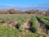 Terrain à bâtir à Puygiron (26160) 2097730-812annonce220241112DuI3G.jpeg Maisons France Confort