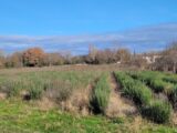 Terrain à bâtir à Puygiron (26160) 2097730-812annonce420241112reFbc.jpeg Maisons France Confort