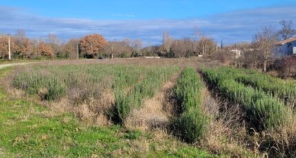 Puygiron Terrain à bâtir - 2097728-812annonce320241112o7iw3.jpeg Maisons France Confort