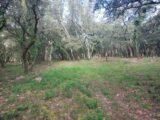 Terrain à bâtir à Sainte-Anastasie-sur-Issole (83136) 2126673-11137annonce2202504078t73m.jpeg Maisons France Confort
