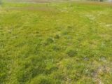 Terrain à bâtir à Mios (33380) 2126900-11244annonce220250407qDJRb.jpeg Maisons France Confort