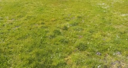 Mios Terrain à bâtir - 2126900-11244annonce220250407qDJRb.jpeg Maisons France Confort