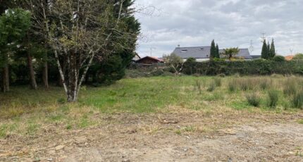 Gradignan Maison neuve - 2125020-11337annonce1202504045RR00.jpeg Maisons France Confort
