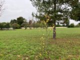 Terrain à bâtir à Hiersac (16290) 2126917-11045annonce320250407DRctV.jpeg Maisons France Confort