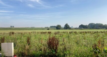 Wormhout Maison neuve - 2065356-1587annonce220250130QPpOL.jpeg Maisons France Confort
