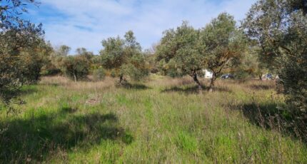 Nans-les-Pins Maison neuve - 2127005-11137annonce120250407rxrgA.jpeg Maisons France Confort