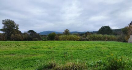Pignans Maison neuve - 2127013-11039annonce320250407L6AB4.jpeg Maisons France Confort