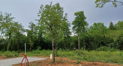 Puymoyen Terrain à bâtir - 2126948-11045annonce220250407aHZ0T.jpeg Maisons France Confort