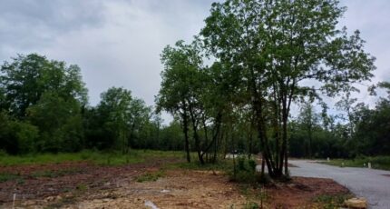 Puymoyen Terrain à bâtir - 2126948-11045annonce420250407tTU3x.jpeg Maisons France Confort