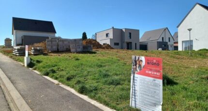 Alteckendorf Terrain à bâtir - 2127116-11242annonce320250407JpUEO.jpeg Maisons France Confort