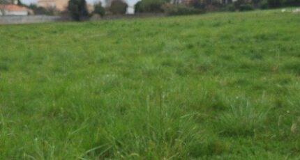 Pisany Terrain à bâtir - 2124387-3362annonce120250404HILgm.jpeg Maisons France Confort