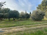 Maison à construire à Saint-Chamas (13250) 2127241-11073annonce120250408A8BrI.jpeg Maisons France Confort