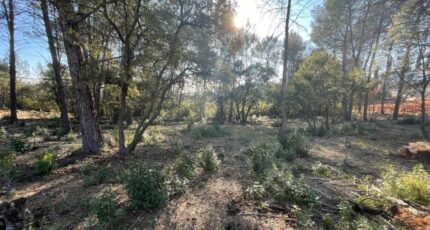 Trans-en-Provence Terrain à bâtir - 2127315-4529annonce220250408d7pf9.jpeg Maisons France Confort