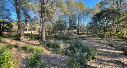 Trans-en-Provence Terrain à bâtir - 2127315-4529annonce320250408rVtxy.jpeg Maisons France Confort