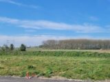 Maison à construire à Avelin (59710) 2127430-10502annonce220250408F0X7C.jpeg Maisons France Confort