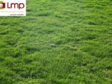 Terrain à bâtir à Givrand (85800) 2127416-7159annonce120250408dbnwO.jpeg Maisons France Confort