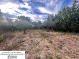 Terrain à bâtir à Salernes (83690) 2128378-3951annonce120250409UAPB4.jpeg Maisons France Confort