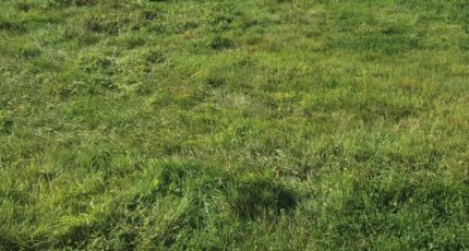 Couterne Maison neuve - 2098968-1153annonce1202411147gaEb.jpeg Maisons France Confort
