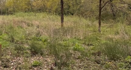 La Brède Terrain à bâtir - 2128949-11337annonce120250409sxgQl.jpeg Maisons France Confort