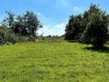 Terrain à bâtir à Hem-Lenglet (59247) 2100970-11021annonce120250310ACNdR.jpeg Maisons France Confort