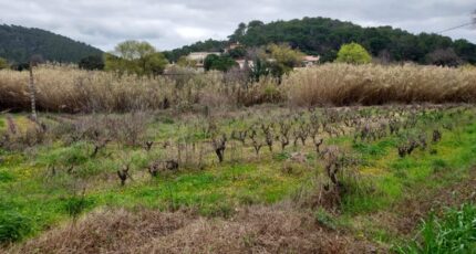 Pierrefeu-du-Var Terrain à bâtir - 2045009-11137annonce420250109VO7B9.jpeg Maisons France Confort