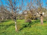 Maison à construire à Cugnaux (31270) 2128933-10326annonce120250409HNhAw.jpeg Maisons France Confort