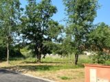 Maison à construire à Montaigut-sur-Save (31530) 2129254-11241annonce220250409ocwZP.jpeg Maisons France Confort