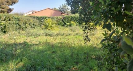Fréjus Maison neuve - 2128409-11157annonce220250407Wicff.jpeg Maisons France Confort