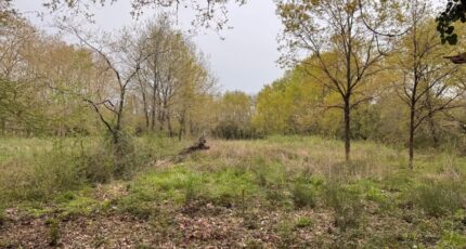 Martillac Terrain à bâtir - 2129763-11337annonce120250410cJuiC.jpeg Maisons France Confort