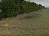 Terrain à bâtir à Saint-Martin-de-Fontenay (14320) 2129863-4402annonce1202504114KqJv.jpeg Maisons France Confort