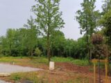 Maison à construire à Puymoyen (16400) 2127065-11045annonce320250407uk1ZT.jpeg Maisons France Confort