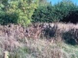 Terrain à bâtir à Souppes-sur-Loing (77460) 2130386-1635annonce120250411IKzGm.jpeg Maisons France Confort