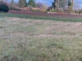 Terrain à bâtir à Souppes-sur-Loing (77460) 2130398-1635annonce120250411iE6HP.jpeg Maisons France Confort