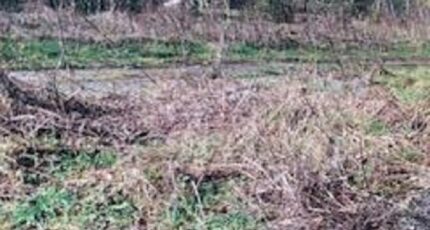 Grez-sur-Loing Terrain à bâtir - 2130540-1635annonce120250411tNyAn.jpeg Maisons France Confort