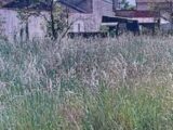 Terrain à bâtir à Grez-sur-Loing (77880) 2130545-1635annonce120250411XWEmO.jpeg Maisons France Confort