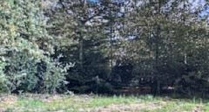 Montcourt-Fromonville Terrain à bâtir - 2130675-1635annonce120250411MAHiR.jpeg Maisons France Confort