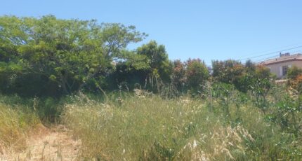 La Crau Terrain à bâtir - 2067987-11077annonce220250426GXyif.jpeg Maisons France Confort